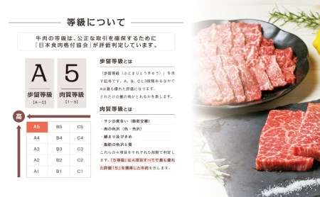 A5 黒毛和牛 赤身ステーキ300g  赤身焼肉400g 牛肉 A5等級 モモ 焼肉 ステーキ BBQ お肉 小分け 冷凍 カミチク