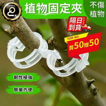 【買一送一】植物固定夾植物 園藝 固定夾 枝條夾 園藝夾 園藝造景 快速卡扣 園藝用品 植物夾 枝條固定QJ2123