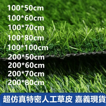 【隔日到貨 現貨】防水防曬 超仿真特密人工草皮 假草皮 塑膠草皮 仿真草皮 隔音墊 消音墊 人造草皮 仿真草皮 寶來小舖