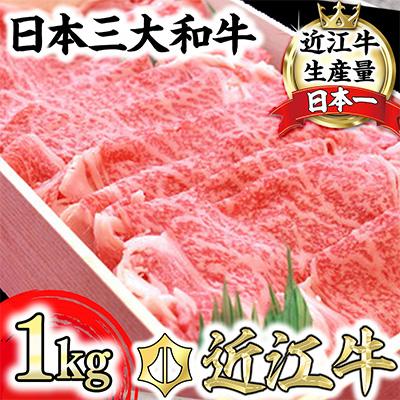 ふるさと納税 近江八幡市 近江牛すきしゃぶ用(ロース・肩ロース)計1kg