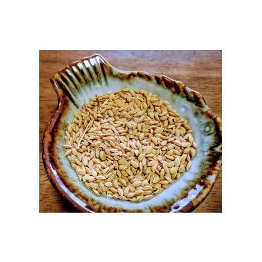 ふるさと納税 山梨県 北杜市 白州米 コシヒカリ『玄米』3kg