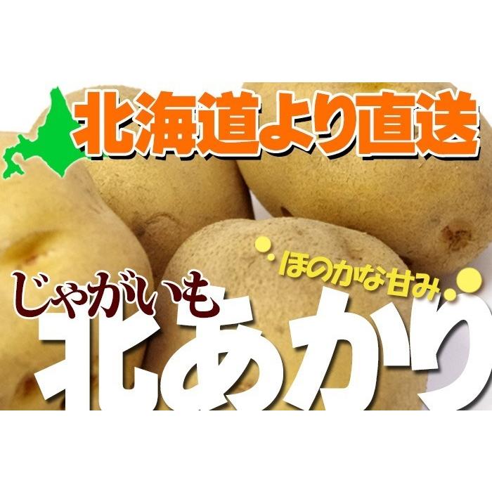 北あかり 10kg じゃがいも 北海道産 きたあかり ホクホク ふかし芋 じゃがバター ポテト 北海道 ジャガイモ お取り寄せ 産直 野菜 芋 秋の味覚