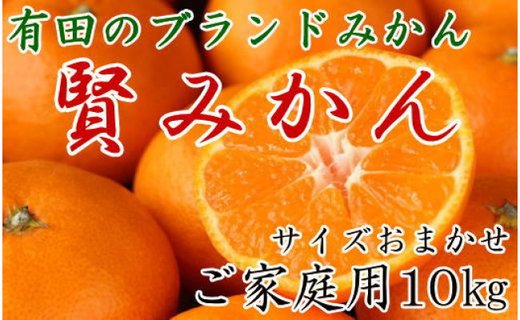 有田のブランド「賢みかん」10kg(S～Lサイズおまかせ）ご家庭用