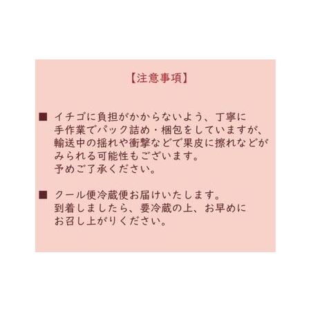 ふるさと納税 埼玉県嵐山町産とちおとめ　完熟イチゴ4パックセット 埼玉県嵐山町