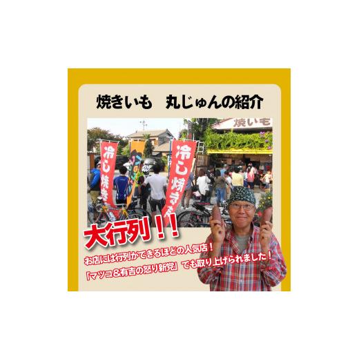 ふるさと納税 愛知県 碧南市 焼き芋 蜜たっぷり！冷やし焼き芋 ひえひえ君 食べ比べ 1kg エレガンス葵＆紅はるか 芋スイーツ　H047-032