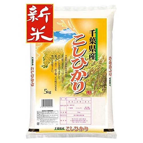 新米 千葉県産 白米 コシヒカリ ５kg 令和3年産