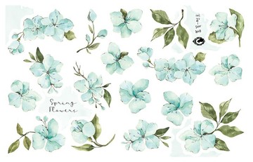 春日花語 - 薄荷 - 紙質 / 白墨 PET (藍獅子) (suyeon)