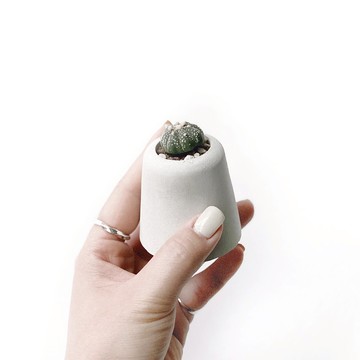 (現貨) 純灰系列 | 星兜 小山丘造型水泥多肉植栽