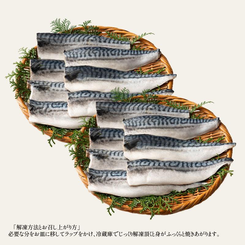 さば 無添加 無塩 トロさば サバ 鯖 約2kg(12〜16尾）トロ鯖 海鮮 天然 美味しい 魚 魚介 海産物 おかず おつまみ 冬グルメ 冬ギフト