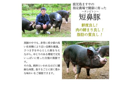 a623 鹿児島黒豚「短鼻豚」無添加ホワイトウィンナー500g(100g×5パック)国産 ウィンナー 無添加 ウインナー ソーセージ 冷凍 黒豚 ノンスモーク