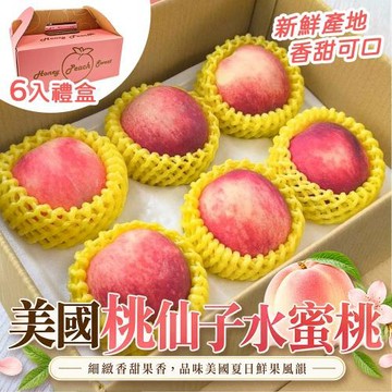 果物樂園-美國桃仙子水蜜桃禮盒(大顆6入/每顆250g)