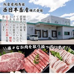 ふるさと納税 おおいた 和牛 3種 セット (合計1.66kg・サーロインステーキ180g×2枚・ウデ肉700g・焼肉300g×2P) 国産 豊後牛 BBQ 赤身 .. 大分県佐伯市