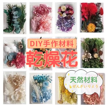 【快速出貨】 乾燥花DIY材料包 乾燥花 繽紛天然乾燥花 永生花 乾燥花材 植物果實 花藝材料包 浮游花 綜合材料 浮油