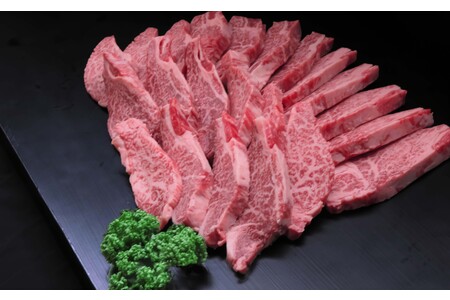 佐賀牛ヒレ焼き肉用600g (H065139)