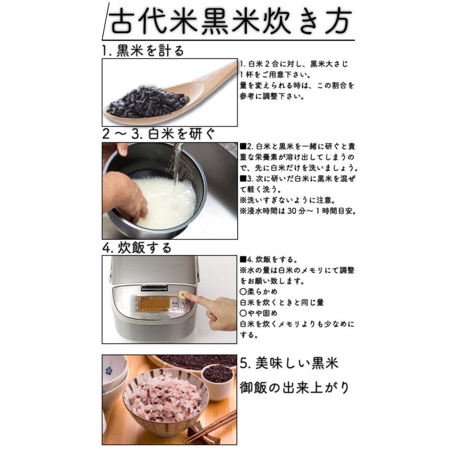 お米 米 1kg 玄米 送料無料 熊本県産 黒米 無農薬 あすつく 新米 令和5年産 古代米 くまもとのお米 富田商店 とみた商店