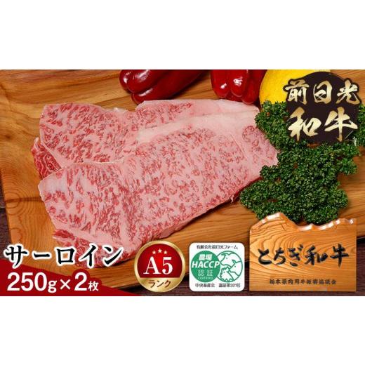 ふるさと納税 栃木県 栃木市 とちぎ和牛・前日光和牛（サーロイン250g 2枚）｜肉 お肉 和牛 最高級 A5ランク A5等級 ステーキ