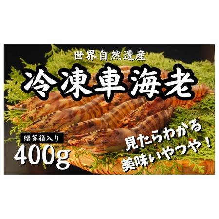 ふるさと納税 鹿児島県 奄美大島産・冷凍車えび400g　贈答箱入・鹿児島県宇検村 鹿児島県宇検村