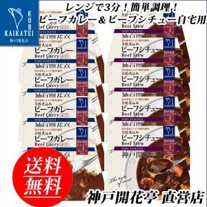 レトルト食品 詰め合わせ レトルトカレー 中辛 シチュー 10食 レトルト おかず 惣菜 食品 セット 神戸開花亭 常温保存 のし・包装不可 送