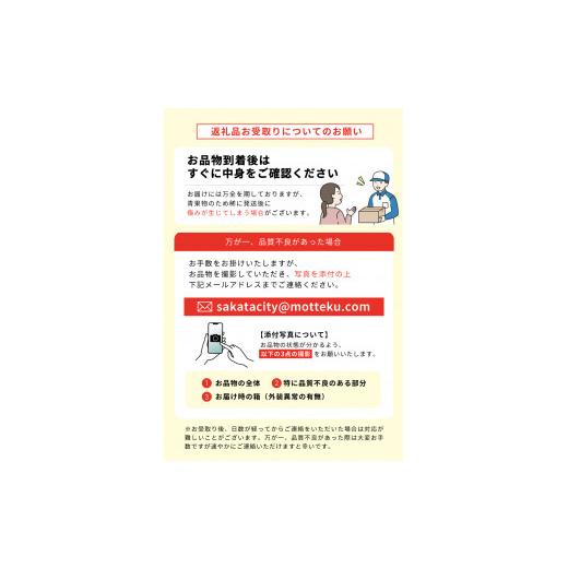 ふるさと納税 山形県 酒田市 SD0095　酒田の実り定期便2024 (アンデスメロン、刈屋梨、庄内柿)