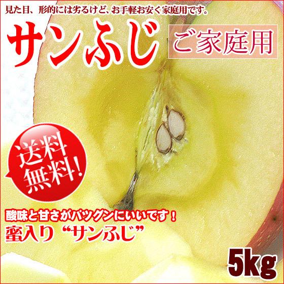 サンふじ 長野 りんご 送料無料  5kg 訳あり キズやサビ 中小玉混 リンゴ