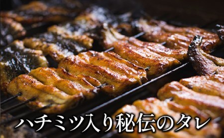 魚荘のうなぎ蒲焼き(1尾入り)