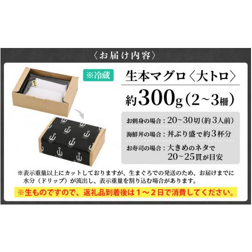 ふるさと納税 福井県 越前町 [e04-b029] 「生本まぐろ」極上霜降り 大トロ 約300g（2〜3柵）まぐろの王様！！【本まぐろ 鮪 ホンマグロ 大とろ 冷蔵 お取り寄…