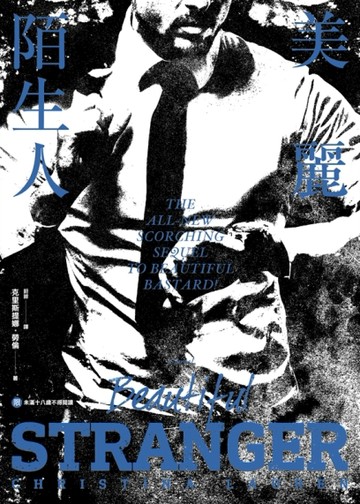 美麗陌生人[二手書_普通]