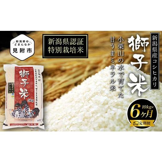 ふるさと納税 新潟県 見附市 令和5年産新潟産コシヒカリ（県認証特別栽培米）「甘うまミネラル米　獅子米」精米5kg