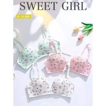可愛少女內衣無鋼圈小胸聚攏文胸罩學生女高中生胸罩凱蒂貓卡通杯