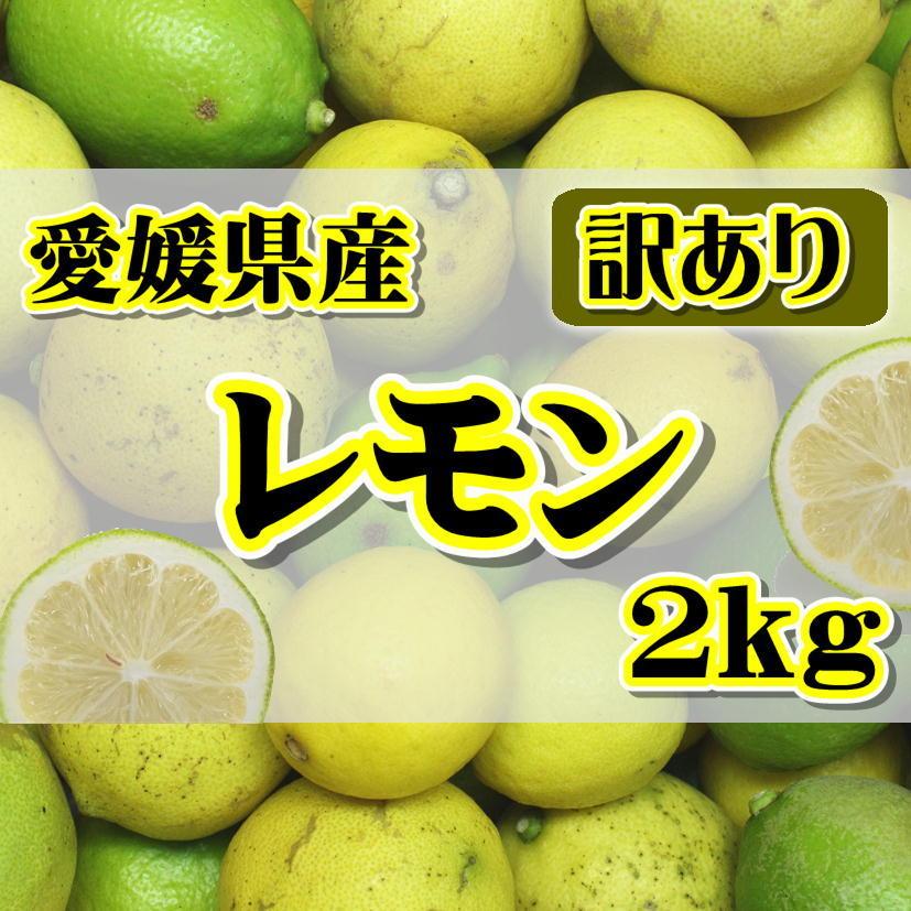 訳あり国産 レモン約2kg　愛媛県産 ワックス・防腐剤不使用 れもん