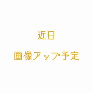 ミッキー＆ミニー ぬいぐるみ＆アクセサリー 40周年 アニバーサリー