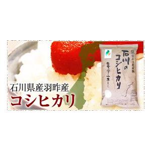 新米　令和5年度産 ギフト！　石川県羽昨産コシヒカリ白米5キロ