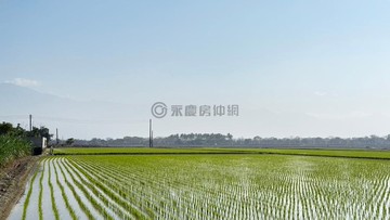 萬丹稻香2分美地|地形平坦好整理|附有水電｜屏東縣萬丹鄉甘棠門段一小段