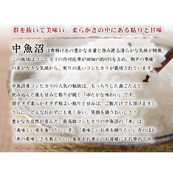 新米 お米 5kg 中魚沼産コシヒカリ 令和5年産 新潟産 送料無料 （北海道、九州、沖縄除く）