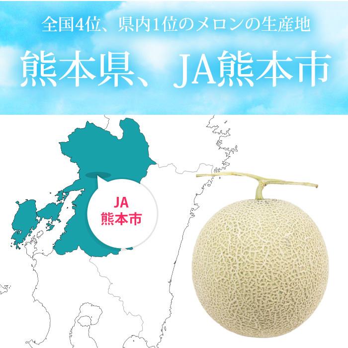 メロン 熊本県産 アールスメロン 約3.6kg以上（約1.8kg以上 1玉）2玉