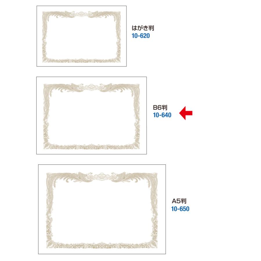 ササガワ タカ印 ミニOA賞状用紙 B6判 10-540 縦書用 10P