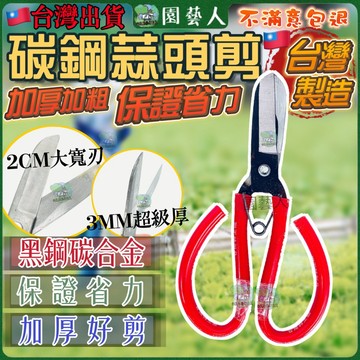 【園藝人】蒜頭剪 園藝剪刀 獅王剪刀 花剪 獅王 花藝剪刀 萬用剪刀 料理剪 骨頭剪刀 芽切剪 大蒜專用剪刀 萬用寬刃剪
