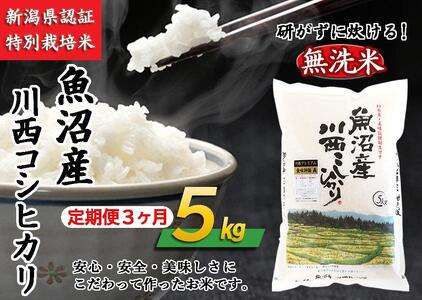 無洗米　魚沼産川西こしひかり５kg　　令和５年度米