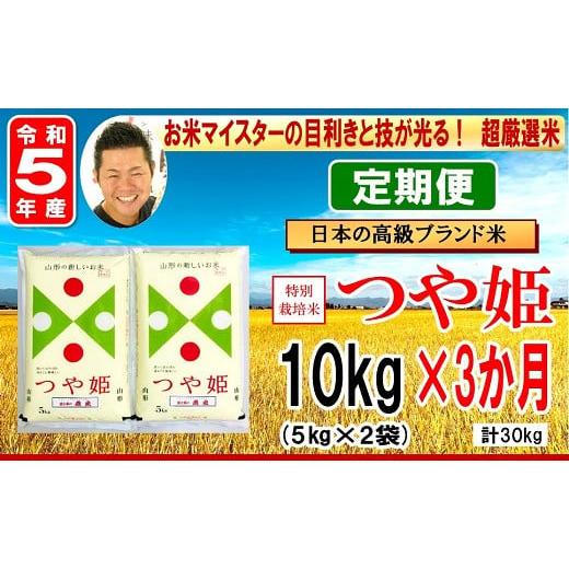 ふるさと納税 山形県 米沢市  特別栽培米 つや姫 計10kg／月 1回配送 5kg×2袋 お米マイスター厳選米 ブランド米 202…