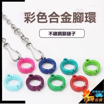 【台灣出貨】鸚鵡腳環 小鳥腳鏈不鏽鋼 遛鳥鏈 小鳥站架 小太陽 虎皮 和尚 牡丹 玄鳳 超輕放飛繩 外出遛鳥鏈