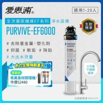EVERPURE愛惠浦 櫥下型 PURVIVE-EF6000大流量不鏽鋼龍頭生飲淨水器
