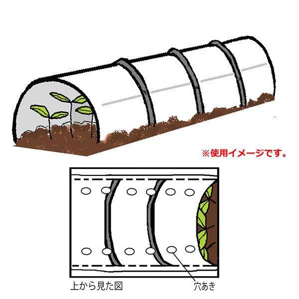 法人様配送限定・個人宅配送不可　シンセイ　穴あきトンネル　0.05×185×100ｍ　2穴　防霜・防湿・防風・防雨　代引き不可