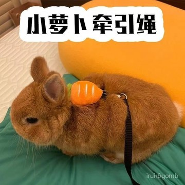 ✨桃園有貨✨侏儒貓咪蘿蔔牽引繩超小型防脫兔子工字專用調節外出布偶泰迪掙脫 W8KU