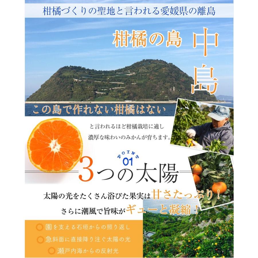 2023 お歳暮 ギフト 紅まどんな 1.5kg 青秀品 M-2L 6-10玉入 中島産 みかん ミカン 贈答用 愛媛県産 御歳暮 紅マドンナ 果物 フルーツ