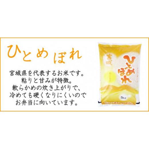 ふるさと納税 宮城県 登米市 令和5年産宮城県登米市産ひとめぼれ精米　５kg×２個セット