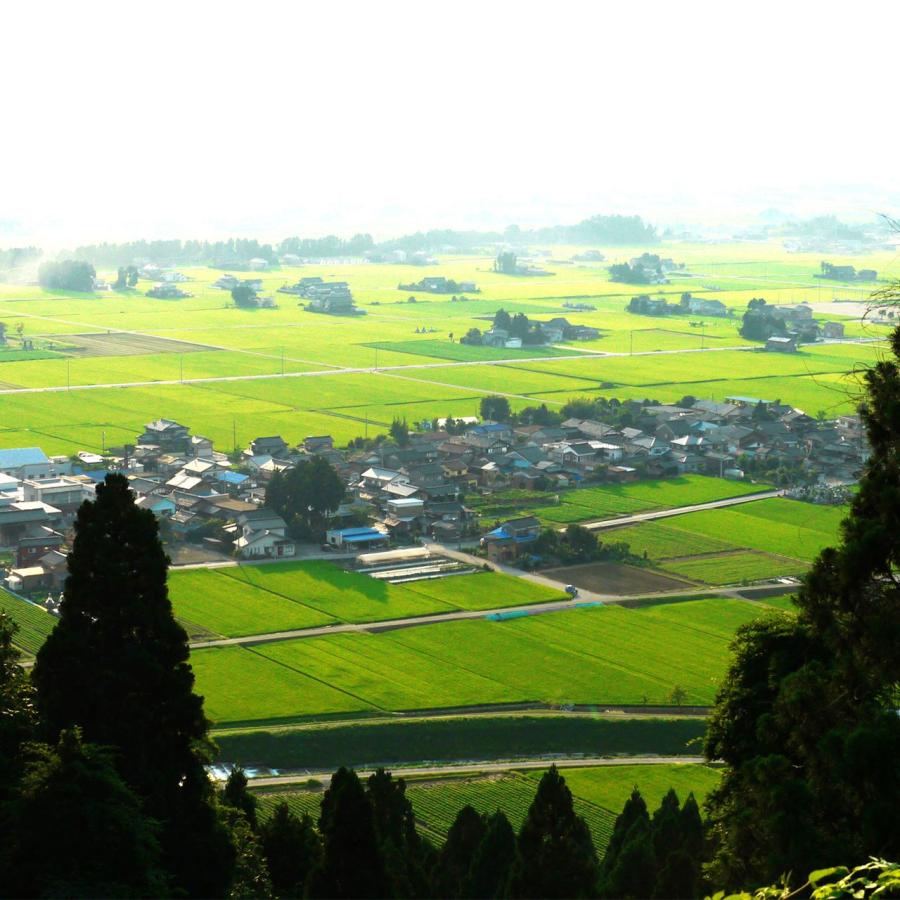 新米 令和5年産富山県産 コシヒカリ 米山農産の特別栽培米 10kg(5kg×2) 自然型乾燥米 DAG米 一等米