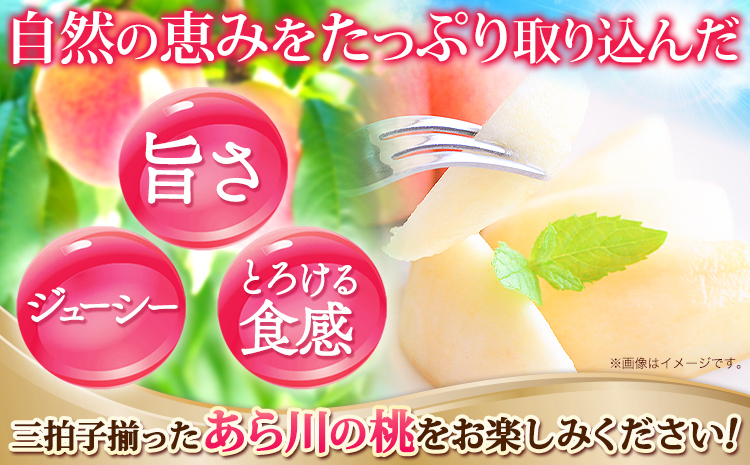 桃 もも あら川の桃 和歌山県産 紀州 の名産 旬の桃厳選 約4kg 12-15玉入り 《2024年6月中旬-8月中旬頃より順次出荷》 果物 フルーツ お取り寄せ 和歌山 予約 あかつき 紀の川 あらかわ 白鳳 日川白鳳 八旗白鳳 清水白桃 川中島白桃 つきあかり---wfn_cwlocal40_q68_23_22000_4kg---