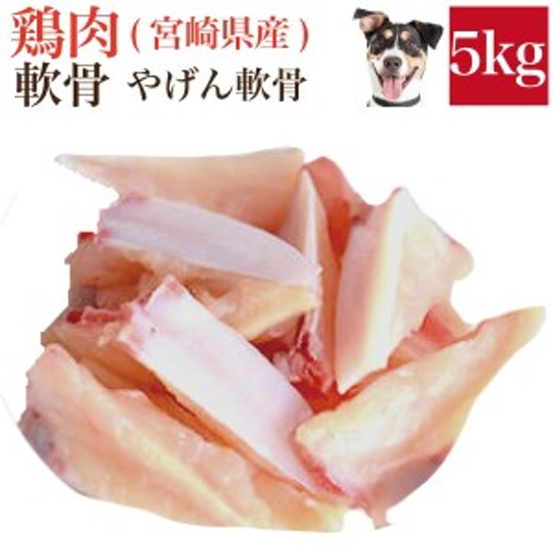 ペット 犬用 生肉 鶏肉 軟骨 5kg バラ凍結ではございません 冷凍 配送 送料無料 通販 Lineポイント最大1 0 Get Lineショッピング