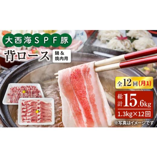 ふるさと納税 長崎県 西海市 大西海SPF豚 背ロース（焼肉＆しゃぶしゃぶ用）計15.6kg＜大西海ファーム＞ [CEK129]