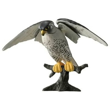 TOMICA 多美動物 AS-44 遊隼鳥 ANIA  AN90559 多美動物園